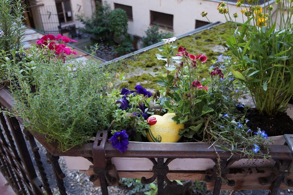 Julia'S Home Budapest Eksteriør bilde